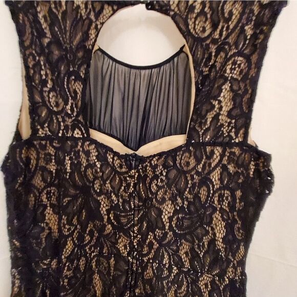 BRAND NEW ENFOCUS LACE BLACK &TAN SLEEVELESS ROUND NECKLINE DRESS - Picture 5 of 10